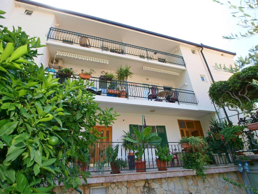Apartmani Danica Gradac  Extérieur photo
